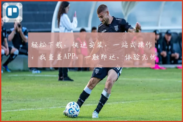 轻松下载，快速安装，一站式操作，我查查APP，一触即达，体验无忧，三步完成