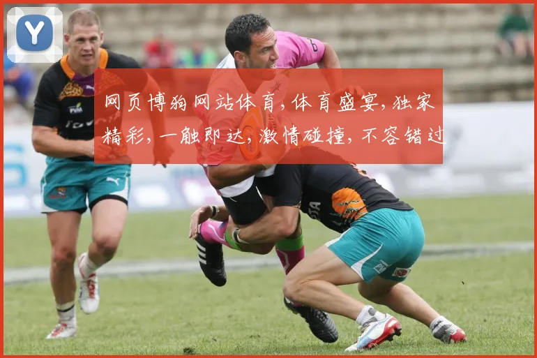 网页博狗网站体育,体育盛宴,独家精彩,一触即达,激情碰撞,不容错过