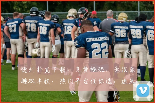 德州扑克下载，免费畅玩，竞技乐趣双丰收，热门平台任你选，速来体验